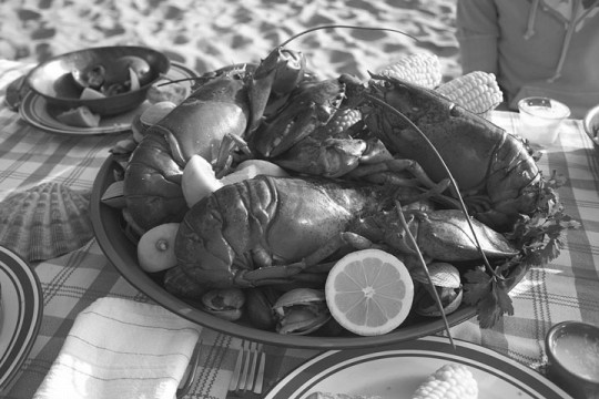 a clambake, with lobster and corn, on a beach